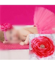 Romantic Rose Design Baby Hair Band and Dress Set