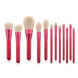 12 pcs Red Wooden Handle Design High Fashion Makeup Brushes Set