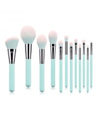 12 pcs Light Blue Wooden Handle High Fashion Makeup Brushes Set