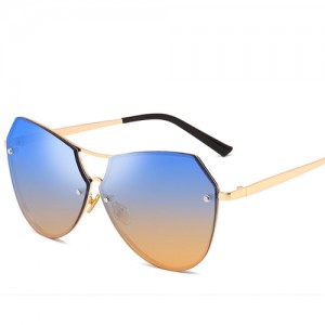 6 Colors Available Irregular Shape Frame Unisex High Fashion Sunglasses