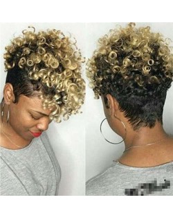 U.S. High Fashion Fluffy Short Curly Hair Synthetic Women Wholesale Wig