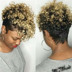 U.S. High Fashion Fluffy Short Curly Hair Synthetic Women Wholesale Wig