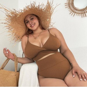 U.S. High Waist Solid Color Plus Size Swimsuit for Fat Woman - Brown