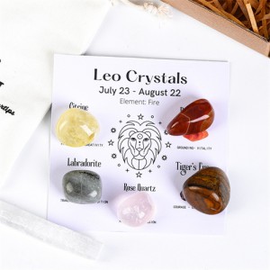 Leo Twelve Constellations Theme Energy Stones Set Healing Crystal Kit for Beginners Reiki Meditation