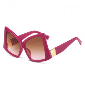 Irregular Big Frame Unique Design Wholesale Fashion Women Sunglasses - Rose