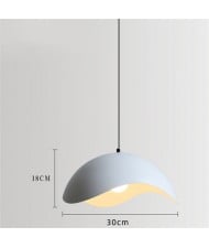 1 Head Nordic Modern Artistic Style Home Light Wholesale Pendant Lamp